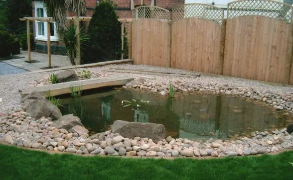 Езеро Ако разполагате с пространство, езерото е добра идея.