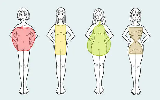 body shapes