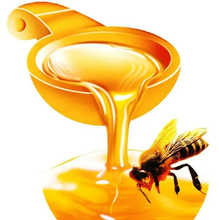мед honey